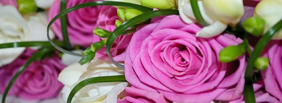 SYMPATHY ARRANGEMENTS