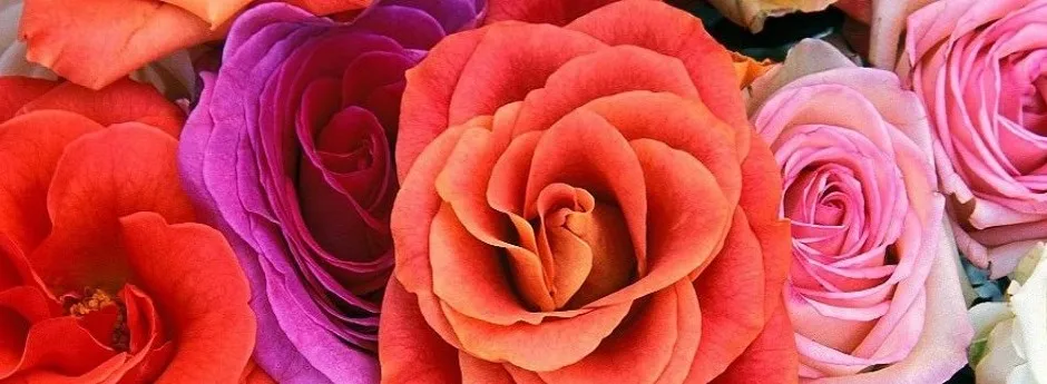 WEDDING FLOWERS